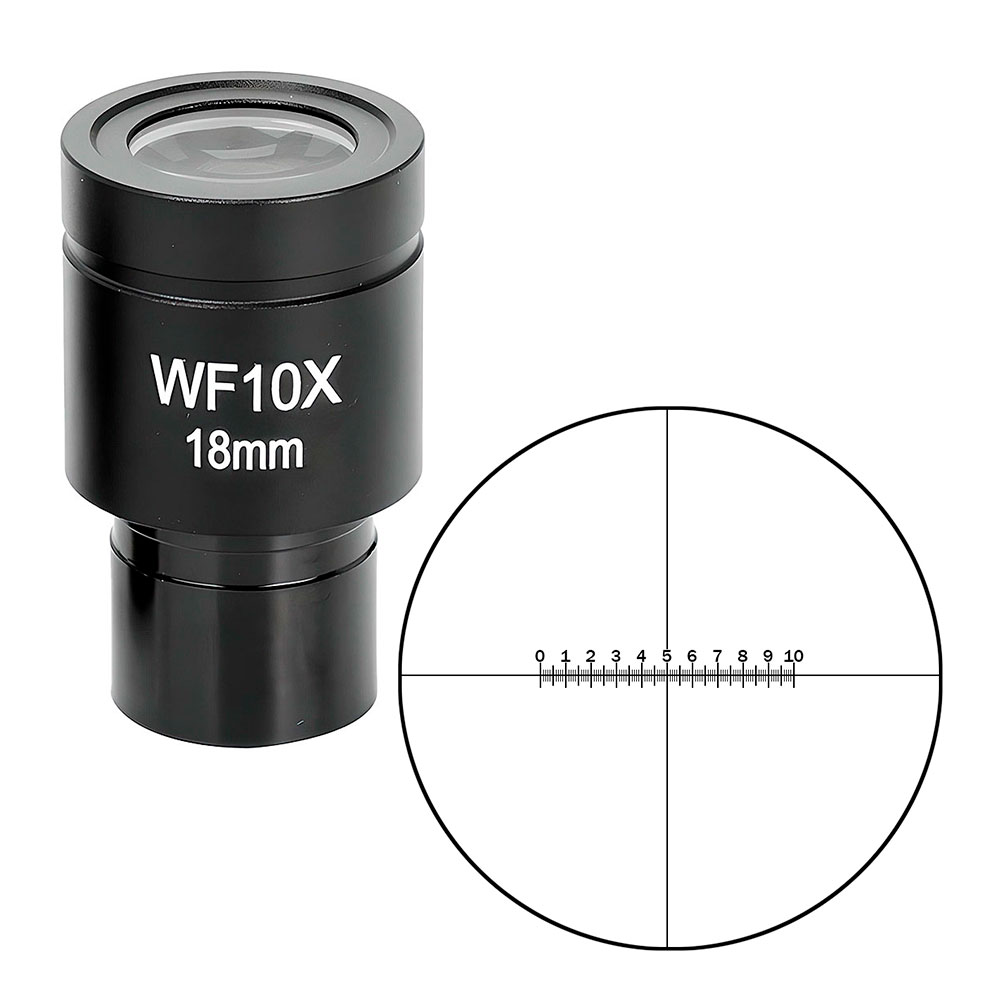 купить Окуляр для микроскопа SIGETA WF 10x/18мм (микрометрический)